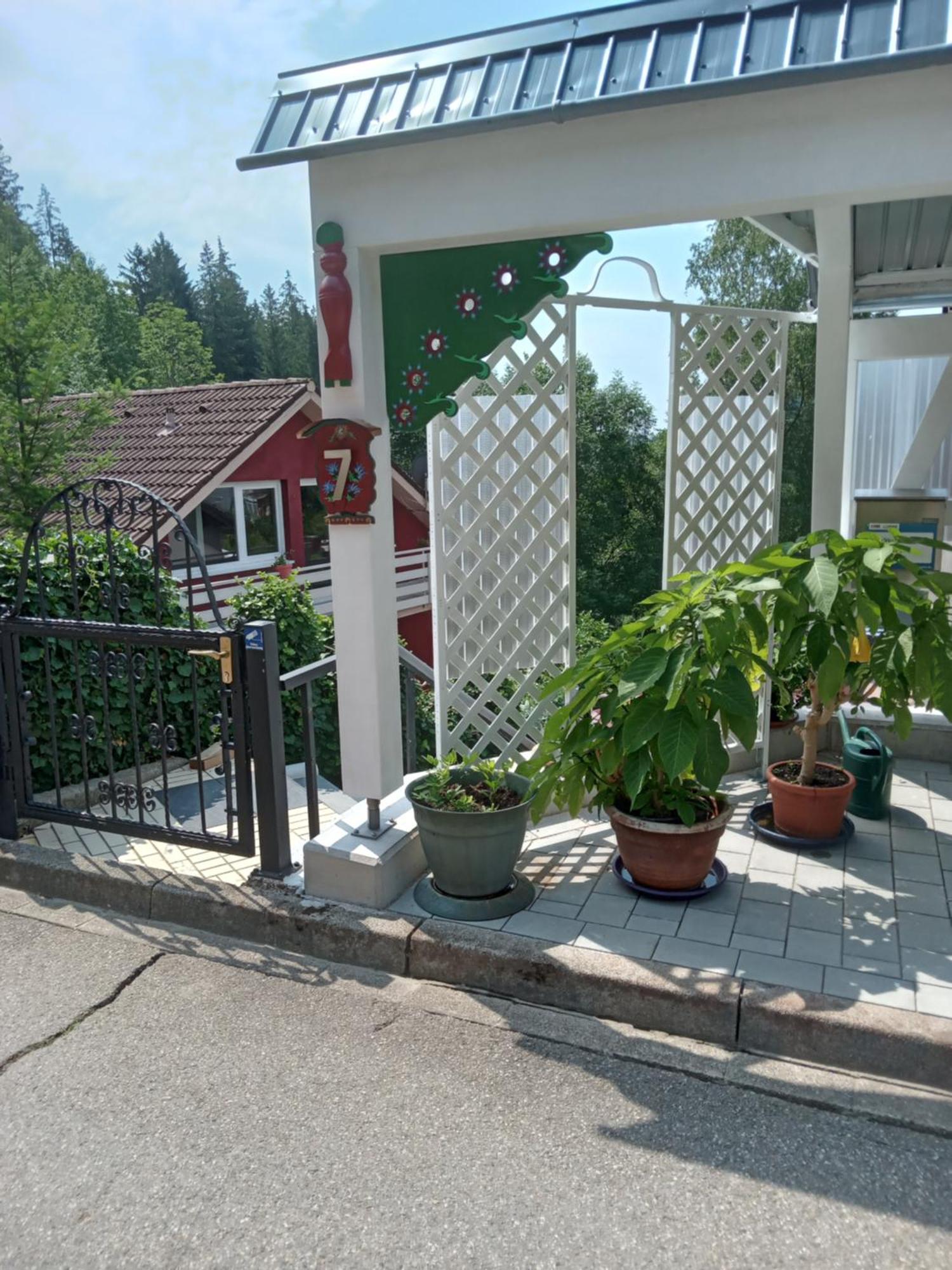 Haus Wiesental Kleines Wiesental 外观 照片