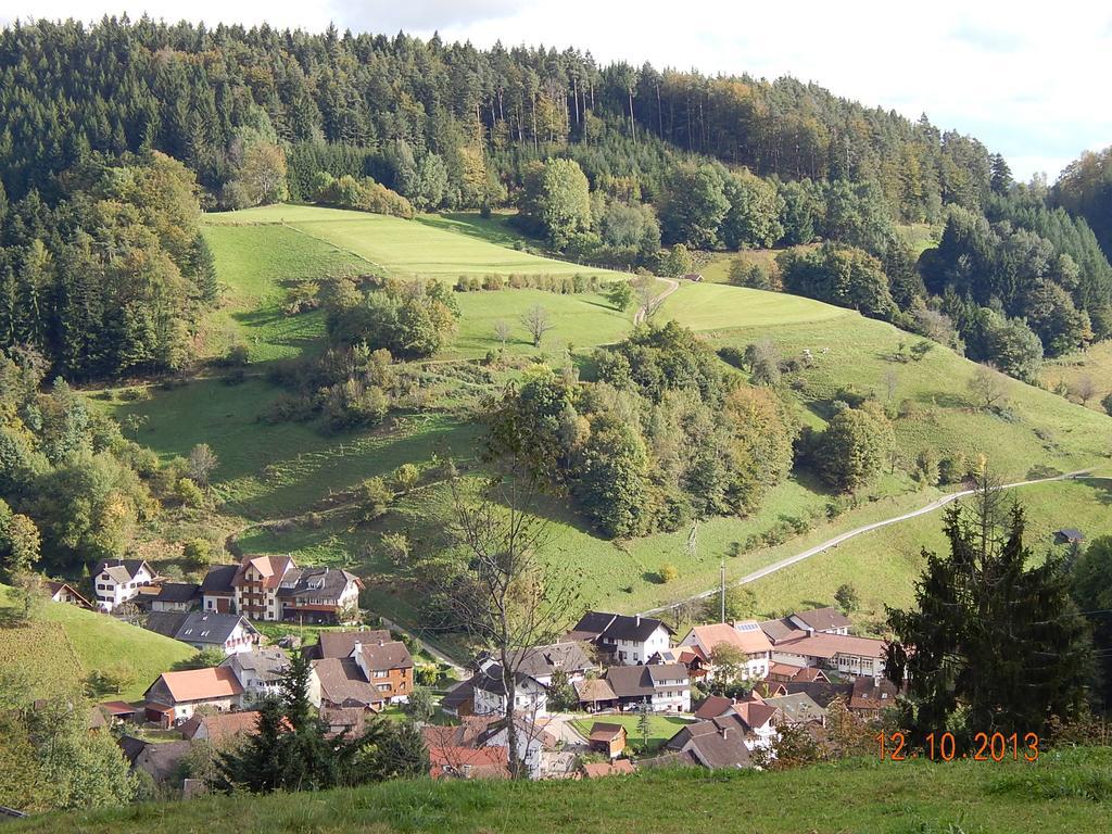 Haus Wiesental Kleines Wiesental 外观 照片