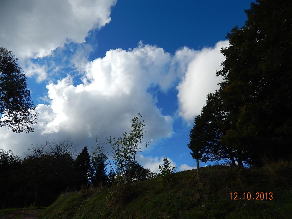 Haus Wiesental Kleines Wiesental 外观 照片