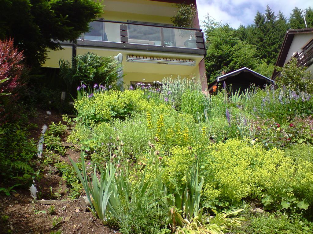 Haus Wiesental Kleines Wiesental 外观 照片