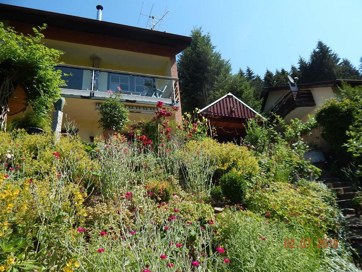 Haus Wiesental Kleines Wiesental 外观 照片