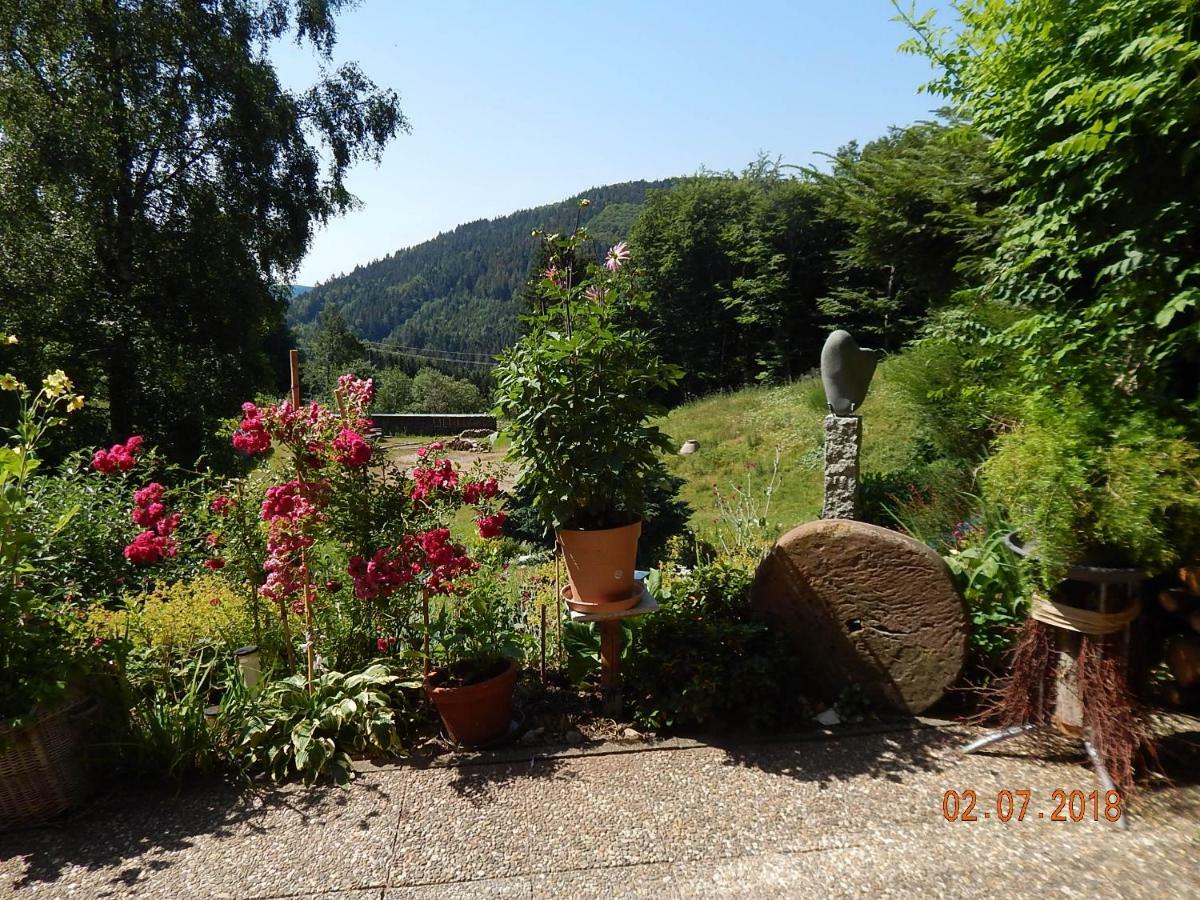 Haus Wiesental Kleines Wiesental 外观 照片