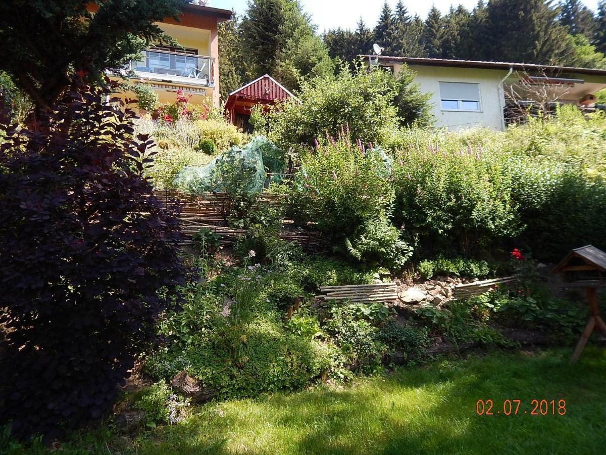Haus Wiesental Kleines Wiesental 外观 照片