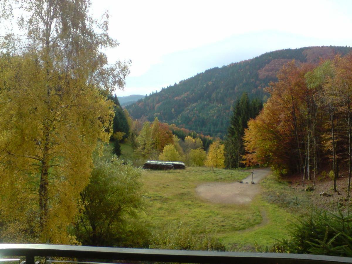 Haus Wiesental Kleines Wiesental 外观 照片