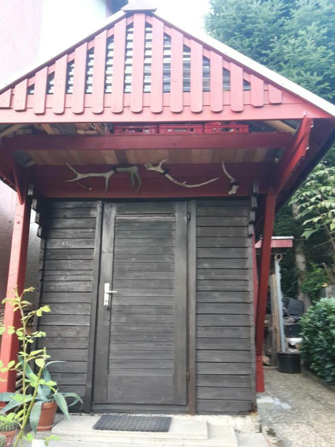 Haus Wiesental Kleines Wiesental 外观 照片